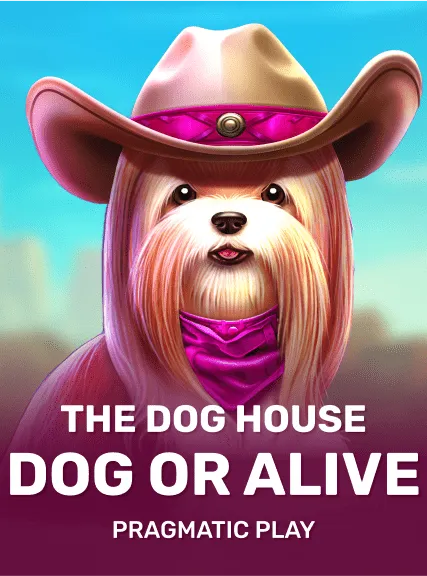 Slotornado The Dog House – Dog or Alive Slot mit Wilds, Sticky Wilds und hohen Gewinnen im Online Casino